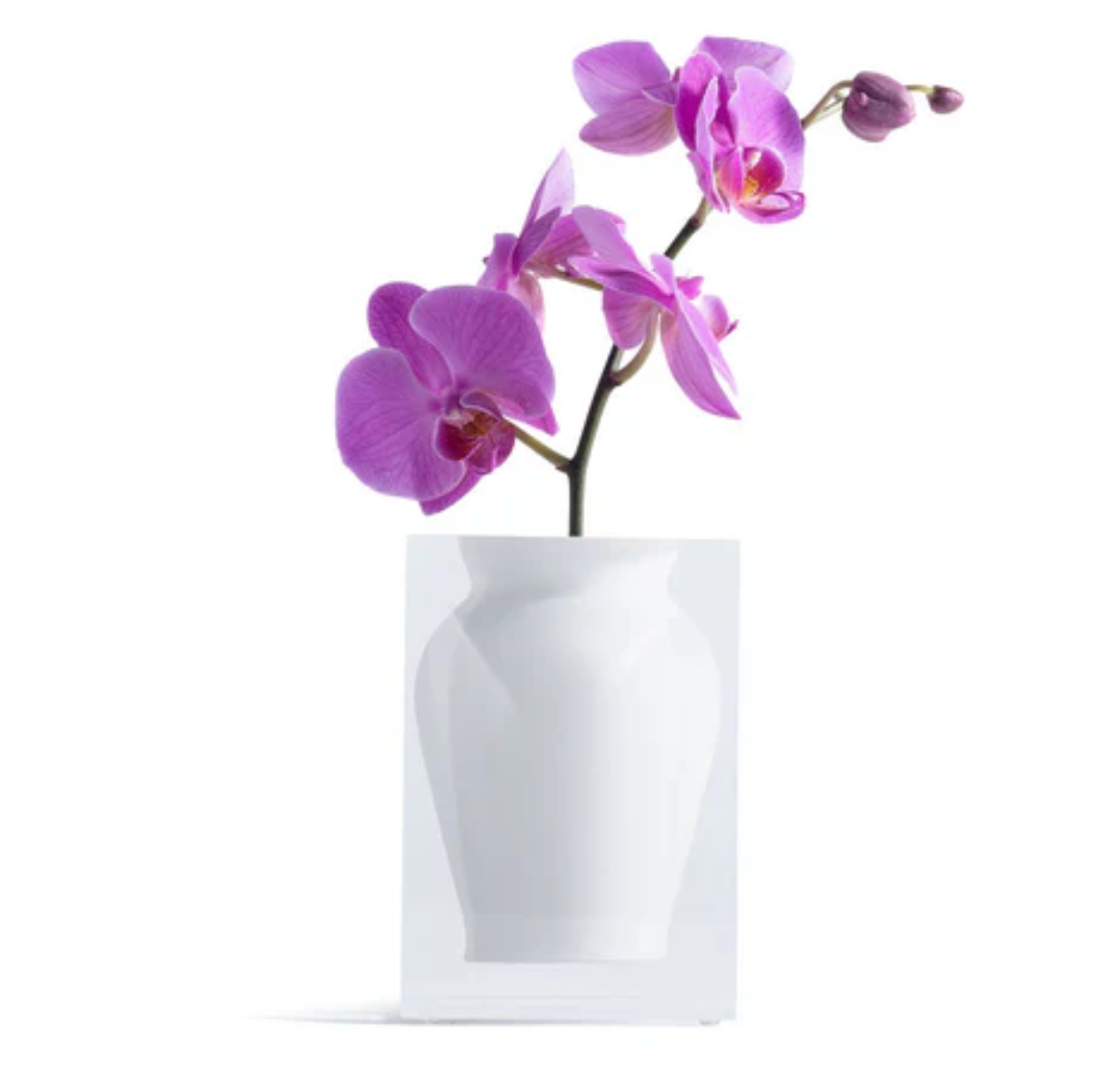 Guys N Gals - Hamptons White Henry Vase