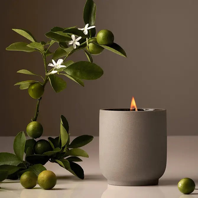 Homecourt - Neroli Leaf Signature Candle
