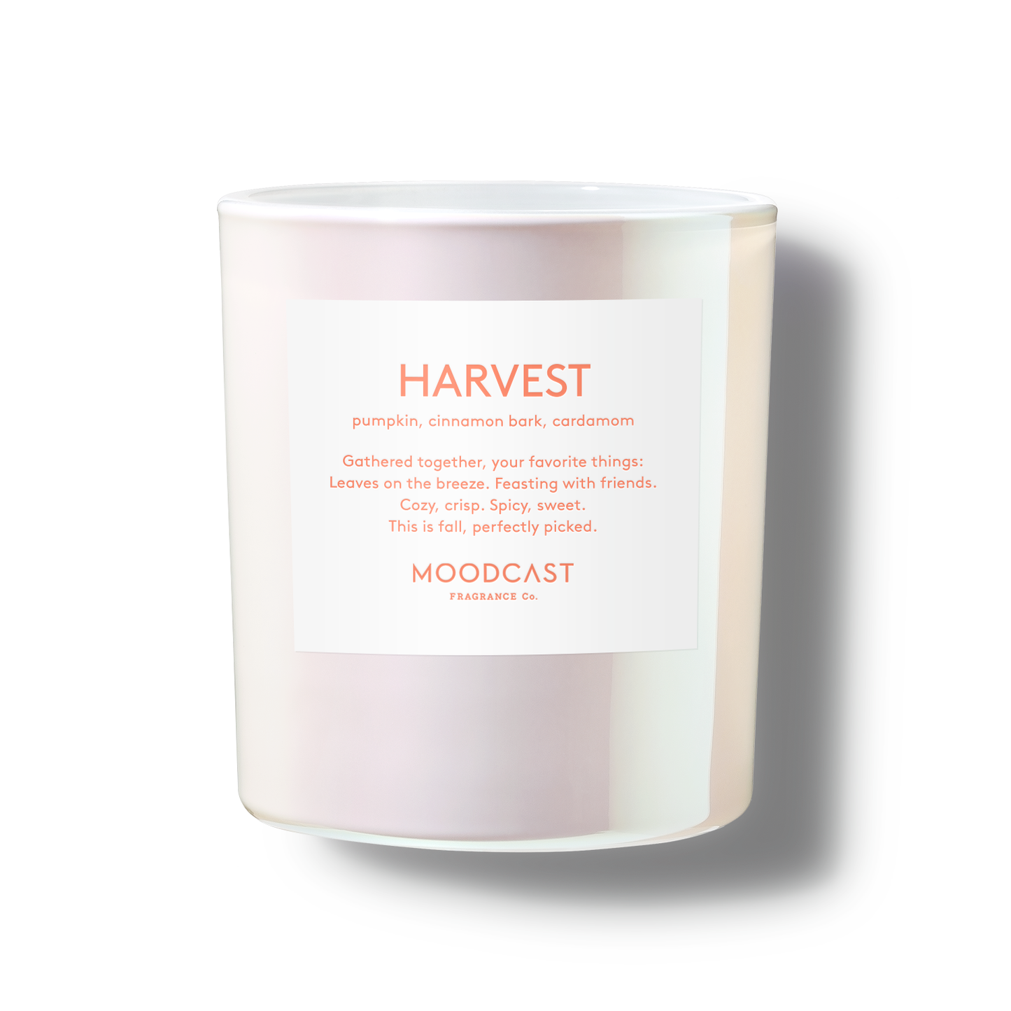 Guys N Gals - Harvest Candle
