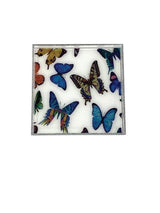 Guys N Gals Acrylic Tray